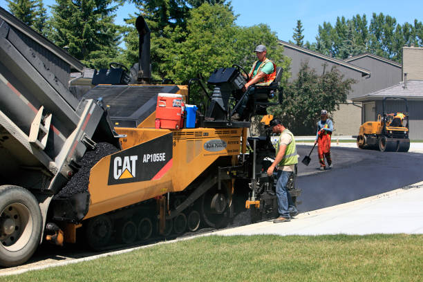 Best Professional Driveway Pavers  in Lordsburg, NM